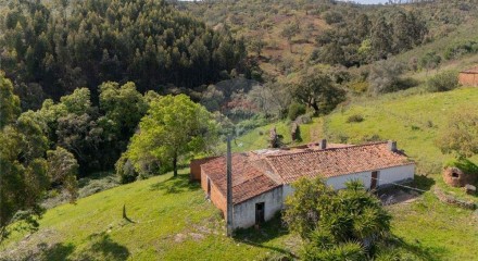 Residential - Farm - São Salvador e Santa Maria, Odemira - PT