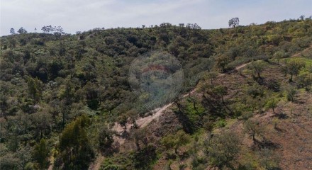 Residential - Farm - São Salvador e Santa Maria, Odemira - PT