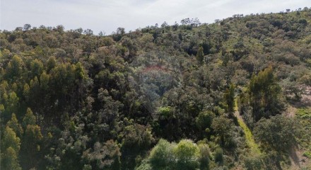 Residential - Farm - São Salvador e Santa Maria, Odemira - PT
