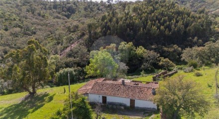 Residential - Farm - São Salvador e Santa Maria, Odemira - PT