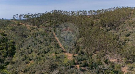 Residential - Farm - São Salvador e Santa Maria, Odemira - PT
