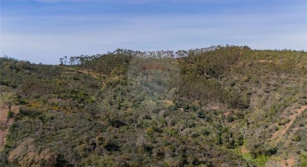 Residential - Farm - São Salvador e Santa Maria, Odemira - PT