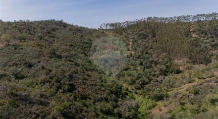 Residential - Farm - São Salvador e Santa Maria, Odemira - PT