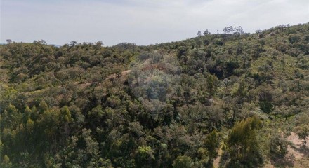 Residential - Farm - São Salvador e Santa Maria, Odemira - PT