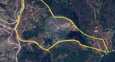 Residential - Farm - São Salvador e Santa Maria, Odemira - PT