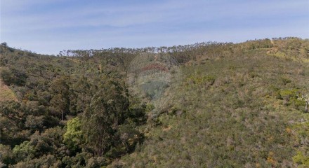 Residential - Farm - São Salvador e Santa Maria, Odemira - PT