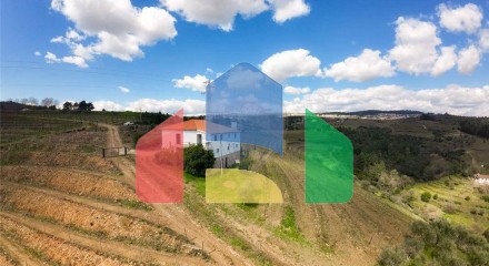 Residential - Farm - T5 - Vilarinho de Sao Romao, Sabrosa - PT