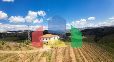Residential - Farm - T5 - Vilarinho de Sao Romao, Sabrosa - PT Residential - Farm - T5 - Vilarinho de Sao Romao, Sabrosa - PT