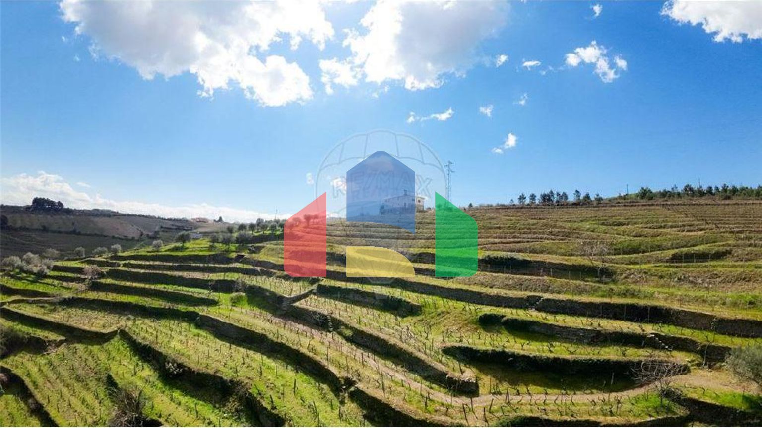 Residential - Farm - T5 - Vilarinho de Sao Romao, Sabrosa - PT