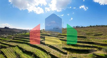 Residential - Farm - T5 - Vilarinho de Sao Romao, Sabrosa - PT Residential - Farm - T5 - Vilarinho de Sao Romao, Sabrosa - PT