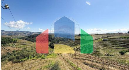 Residential - Farm - T5 - Vilarinho de Sao Romao, Sabrosa - PT Residential - Farm - T5 - Vilarinho de Sao Romao, Sabrosa - PT