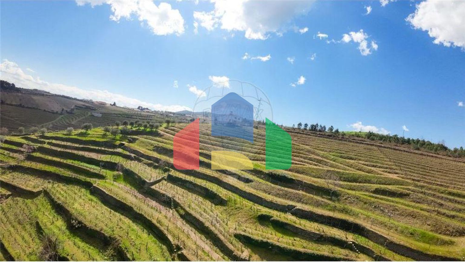 Residential - Farm - T5 - Vilarinho de Sao Romao, Sabrosa - PT