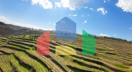 Residential - Farm - T5 - Vilarinho de Sao Romao, Sabrosa - PT Residential - Farm - T5 - Vilarinho de Sao Romao, Sabrosa - PT