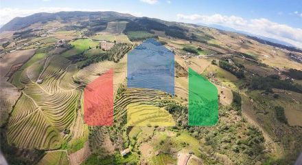 Residential - Farm - T5 - Vilarinho de Sao Romao, Sabrosa - PT Residential - Farm - T5 - Vilarinho de Sao Romao, Sabrosa - PT