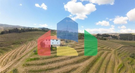 Residential - Farm - T5 - Vilarinho de Sao Romao, Sabrosa - PT