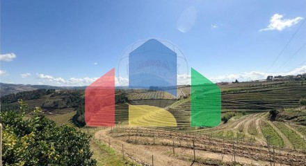 Residential - Farm - T5 - Vilarinho de Sao Romao, Sabrosa - PT
