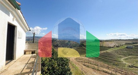 Residential - Farm - T5 - Vilarinho de Sao Romao, Sabrosa - PT