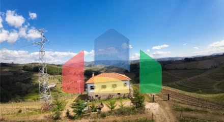 Residential - Farm - T5 - Vilarinho de Sao Romao, Sabrosa - PT