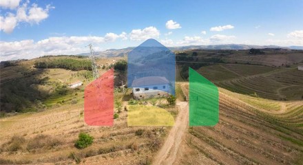 Residential - Farm - T5 - Vilarinho de Sao Romao, Sabrosa - PT