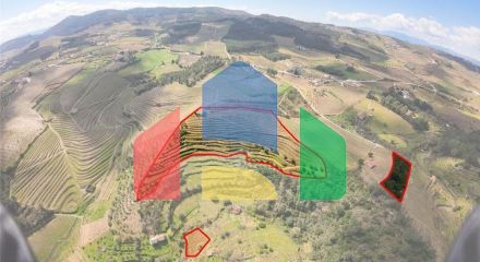 Residential - Farm - T5 - Vilarinho de Sao Romao, Sabrosa - PT