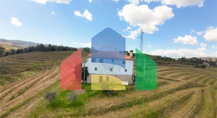 Residential - Farm - T5 - Vilarinho de Sao Romao, Sabrosa - PT
