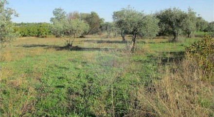 Residential - Farm - Alpedrinha, Fundao - PT