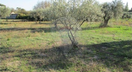 Residential - Farm - Alpedrinha, Fundao - PT