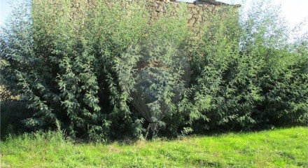 Residential - Farm - Alpedrinha, Fundao - PT