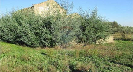 Residential - Farm - Alpedrinha, Fundao - PT