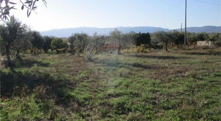 Residential - Farm - Alpedrinha, Fundao - PT