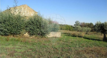 Residential - Farm - Alpedrinha, Fundao - PT