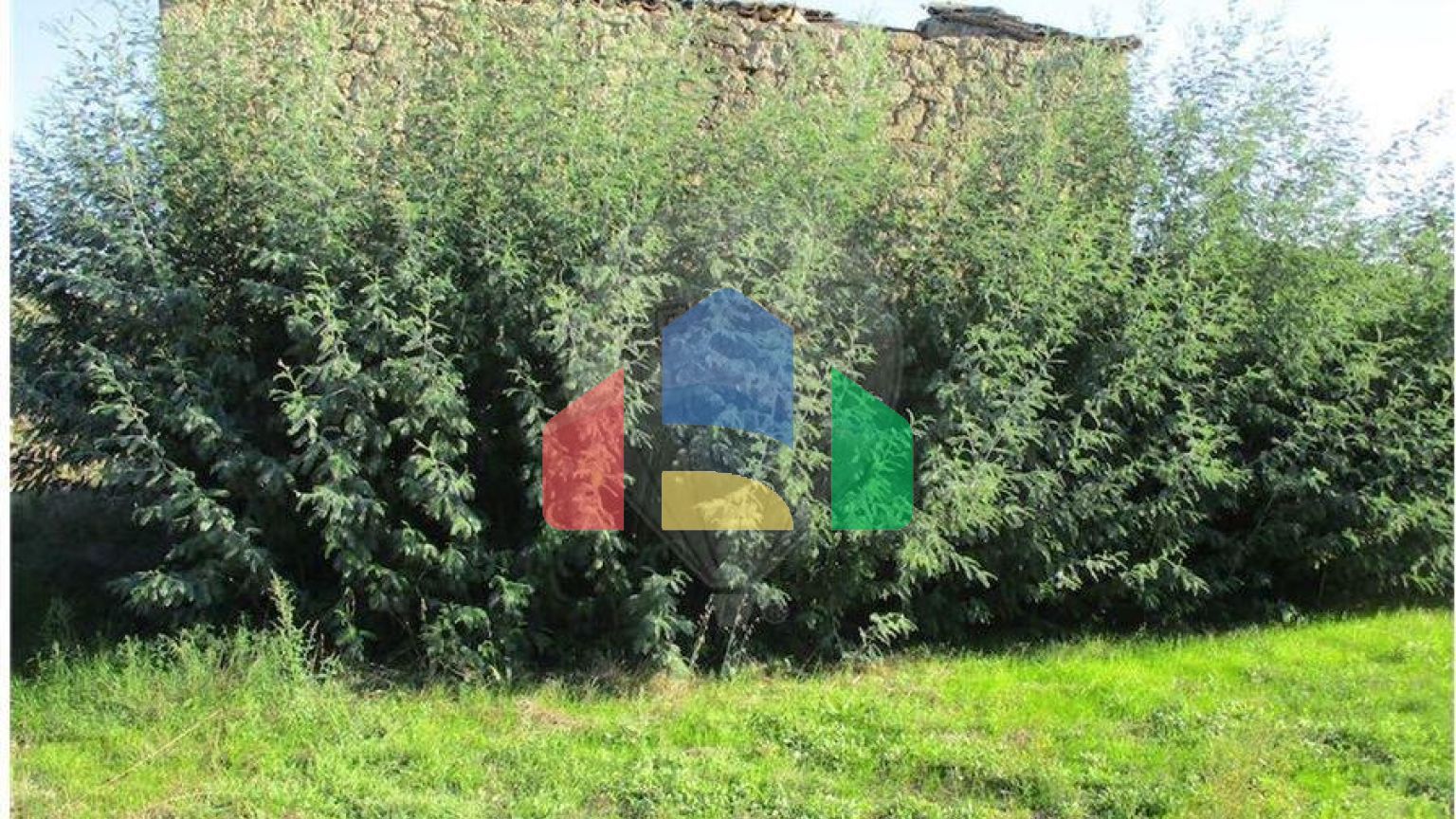 Residential - Farm - Alpedrinha, Fundao - PT