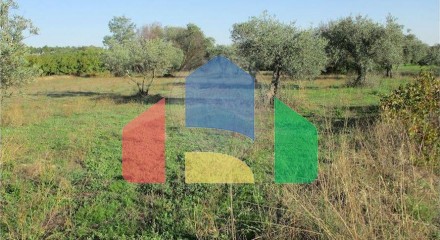 Residential - Farm - Alpedrinha, Fundao - PT