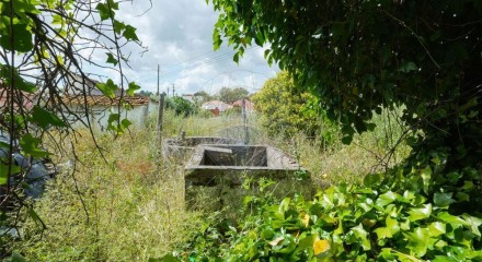 Residential - Farm - Santana do Mato, Coruche - PT