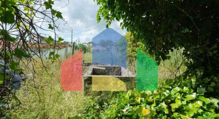 Residential - Farm - Santana do Mato, Coruche - PT Residential - Farm - Santana do Mato, Coruche - PT