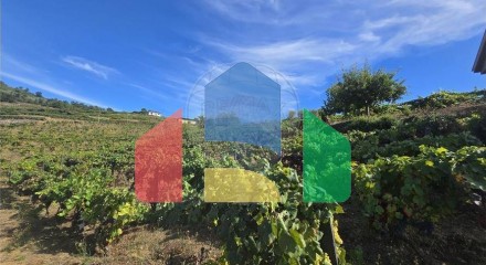 Residential - Single Family Home - T3 - Figueira, Lamego - PT