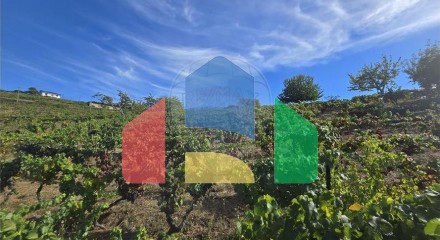 Residential - Single Family Home - T3 - Figueira, Lamego - PT