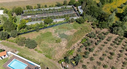 Residential - Land - Poiares (Santo Andre), Vila Nova de Poiares - PT
