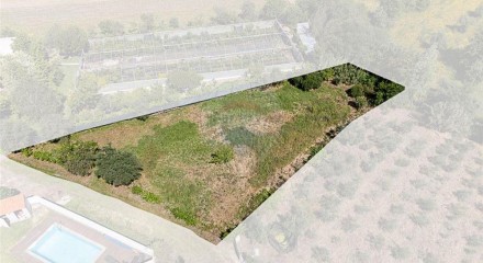 Residential - Land - Poiares (Santo Andre), Vila Nova de Poiares - PT