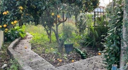 Residential - Single Family Home - T2 - Ribeirao, Vila Nova de Famalicao - PT