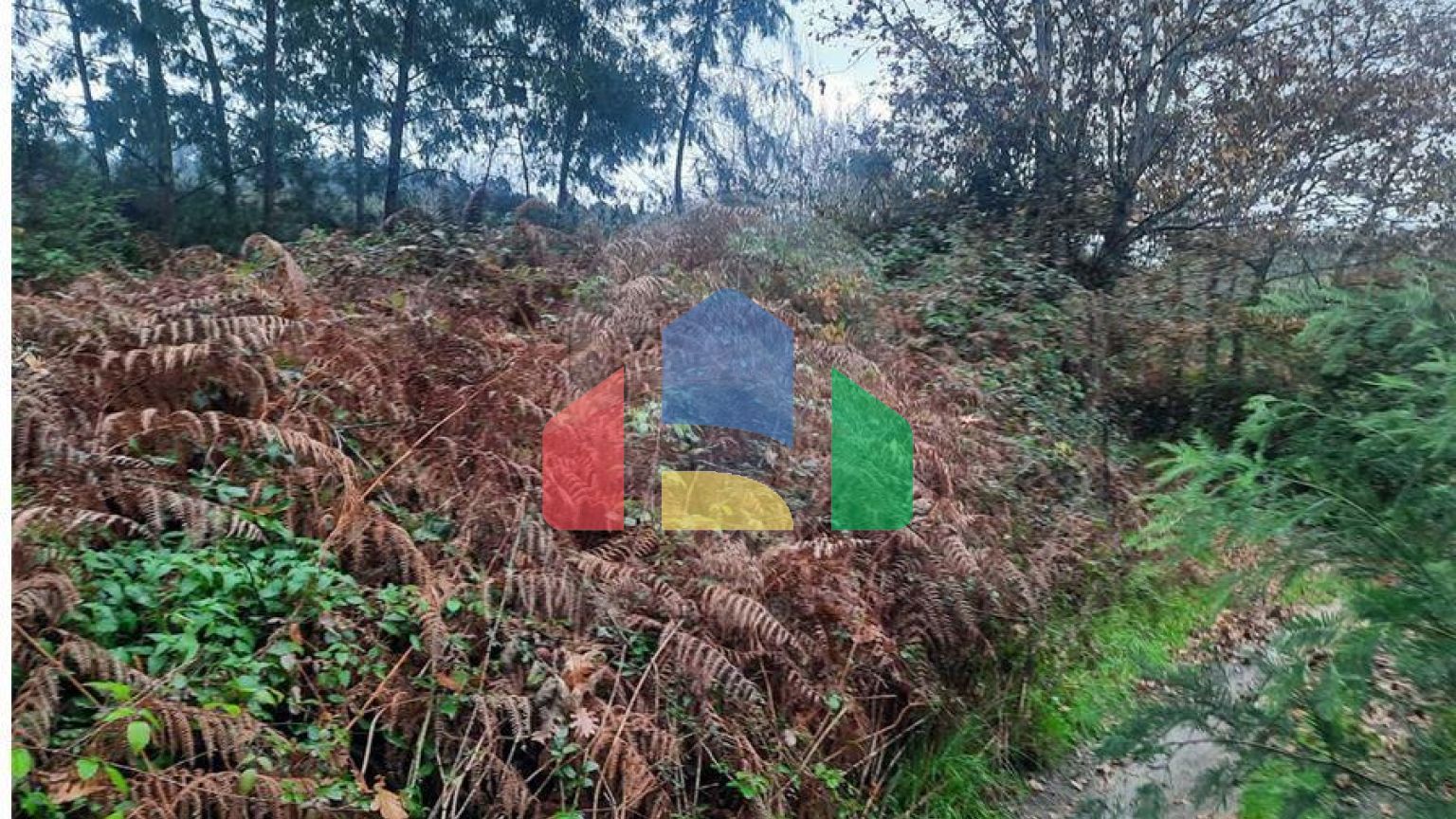 Residential - Single Family Home - T4 - Vila Boa do Bispo, Marco de Canaveses - PT