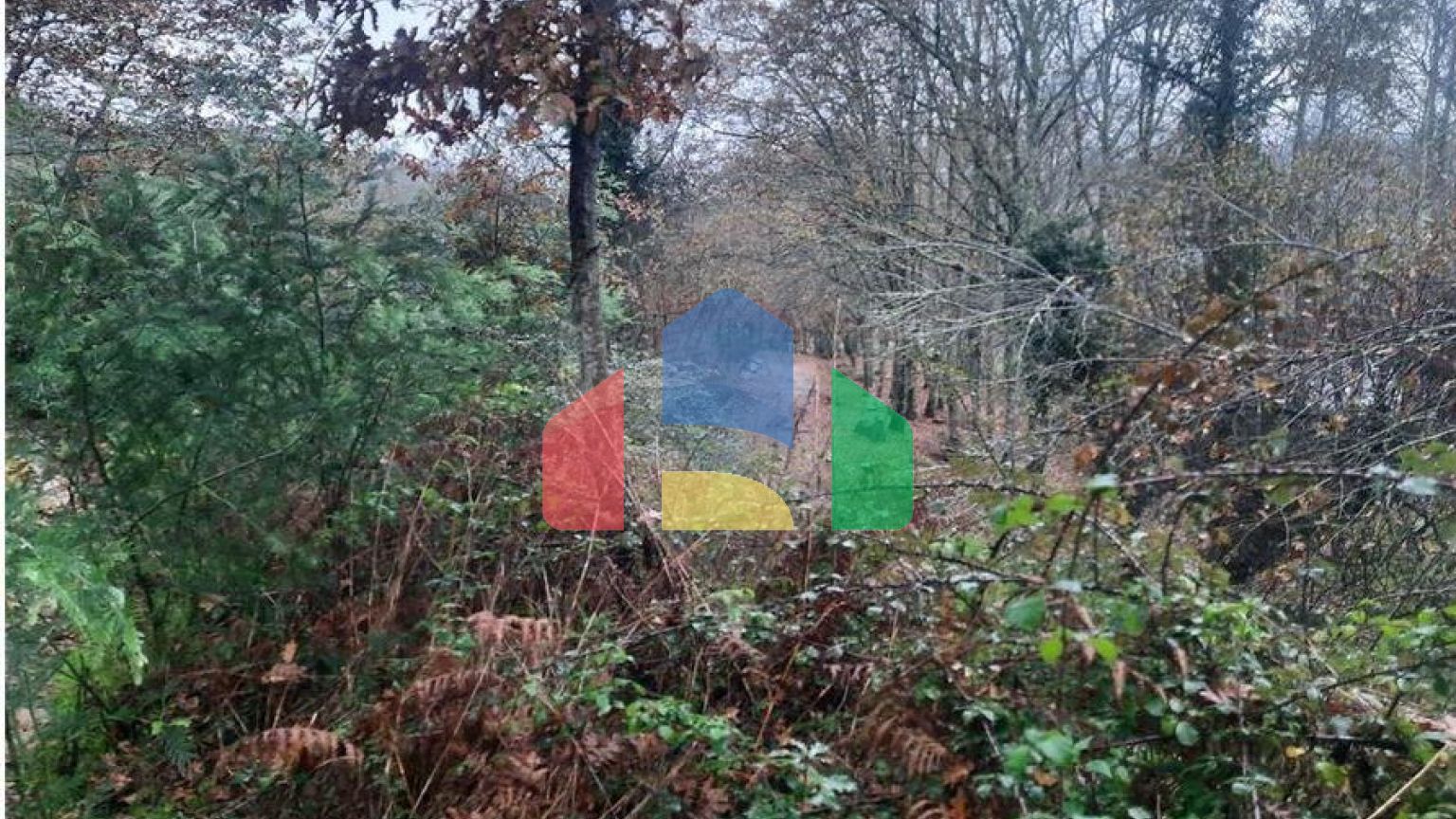 Residential - Single Family Home - T4 - Vila Boa do Bispo, Marco de Canaveses - PT