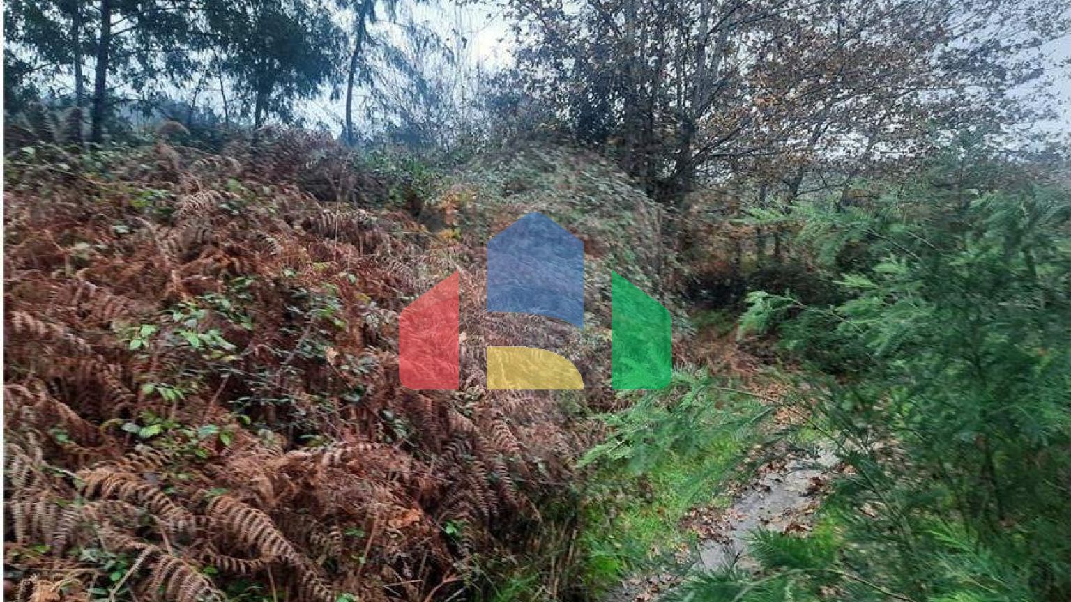 Residential - Single Family Home - T4 - Vila Boa do Bispo, Marco de Canaveses - PT