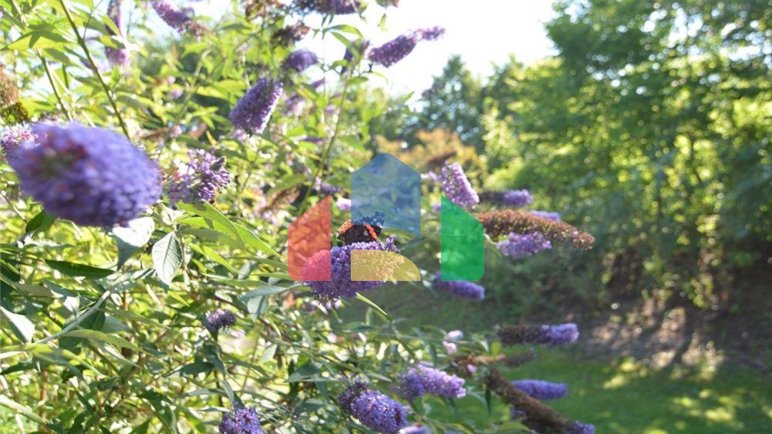 Commercial - Office - Höchenschwand - Germany