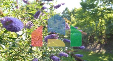 Commercial - Office - Höchenschwand - Germany