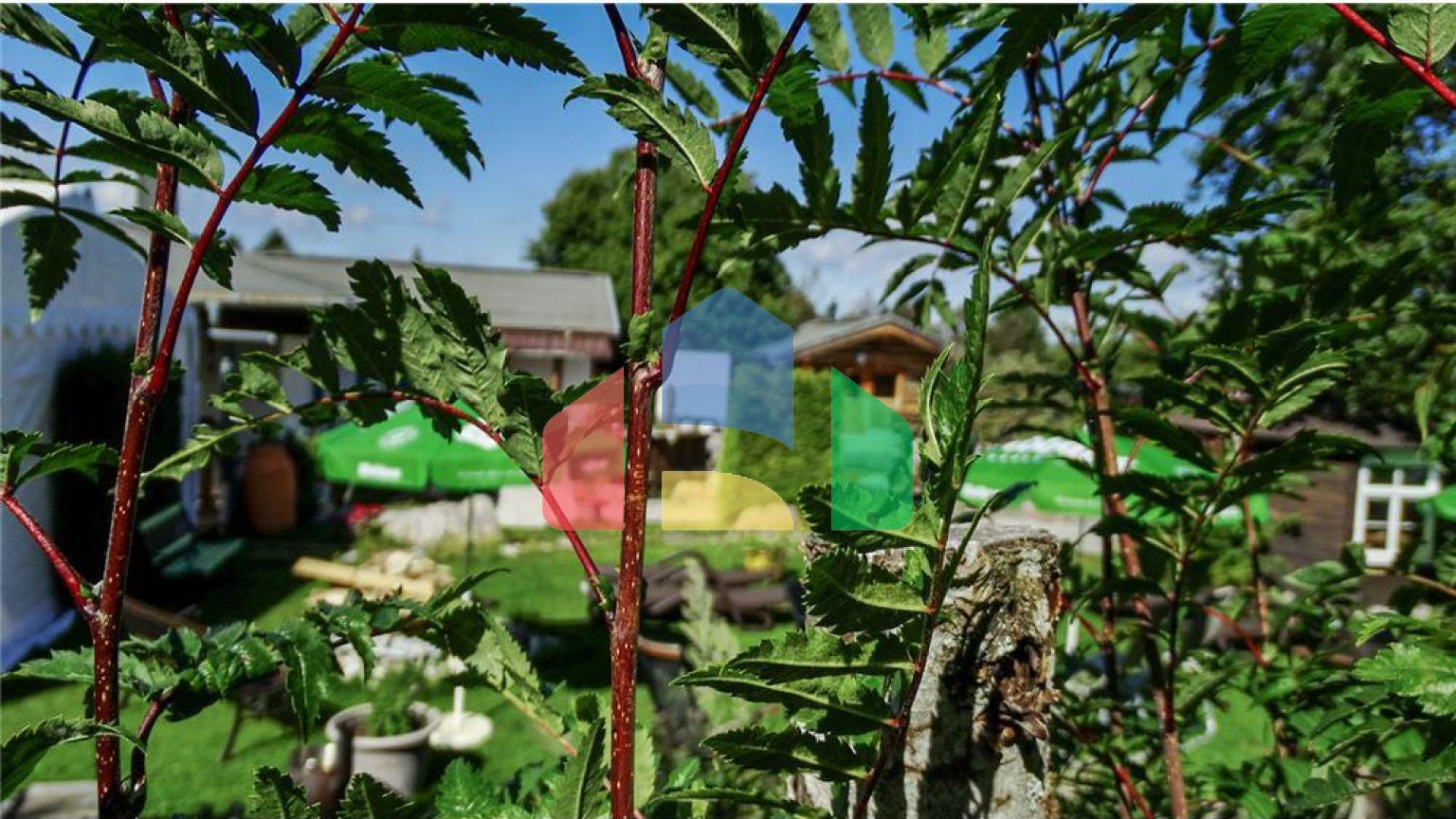 Commercial - Office - Höchenschwand - Germany