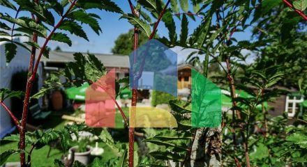 Commercial - Office - Höchenschwand - Germany