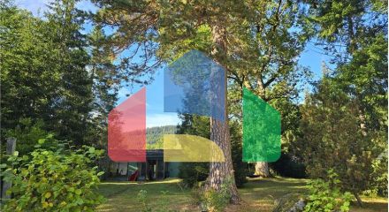 Residential - Villa - Häusern - Germany