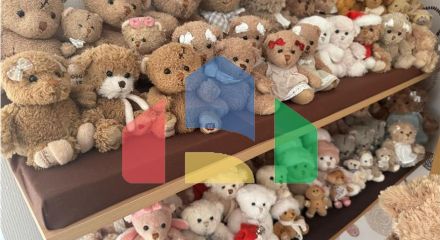 Residential - Single Family Home - Eschau - Germany Residential - Single Family Home - Eschau - Germany