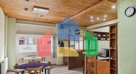 Residential - Multi-Family - Zell im Wiesental - Germany